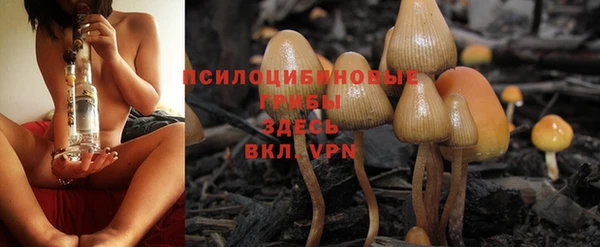 mdpv Каменка
