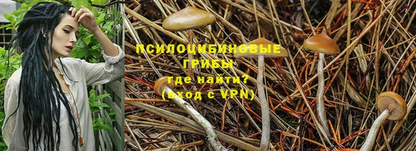 mdpv Каменка