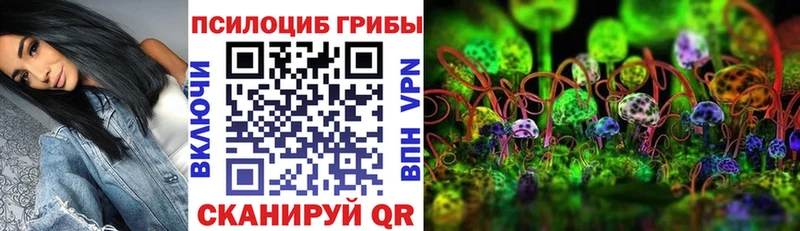Галлюциногенные грибы Magic Shrooms  Купить закладки  Данилов 